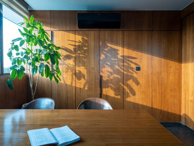 Nine o Six Advisory meeting room with a large wooden table, indoor plant, and sunlight reflections.