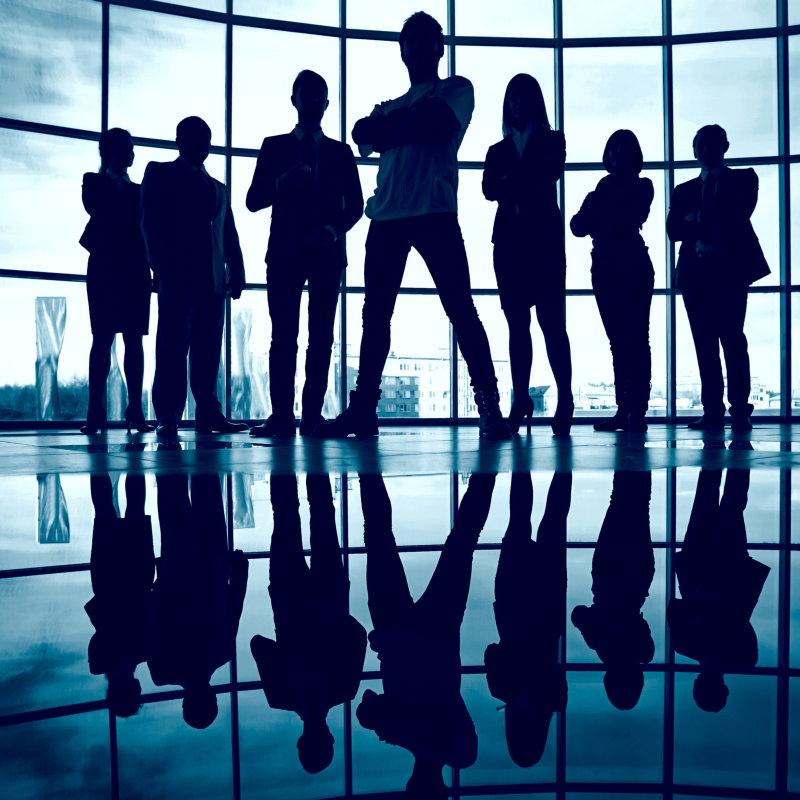 Team – A dynamic group of 25 professionals, including Chartered Accountants (CAs), IT System Auditors (DISA), Company Secretaries, Law Graduates, and IT Experts, specializing in customized inventory management and accounting solutions for trading, manufacturing, and service industries.